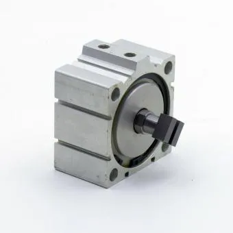 FESTO Kurzhubzylinder ADVC-100-20-I-P