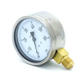 Riegler Druck - und Temperaturmessgerät G1/2B